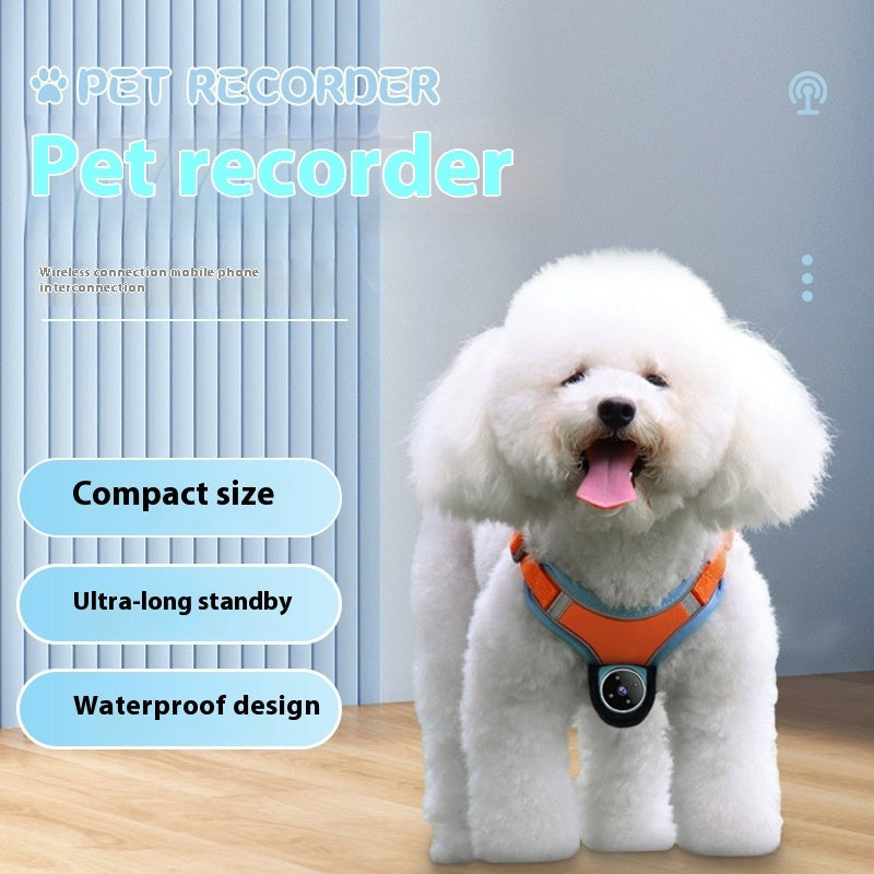 PetCam | Pro Collar