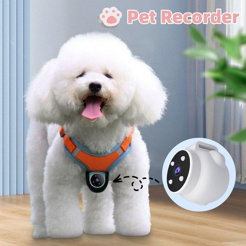 PetCam | Pro Collar